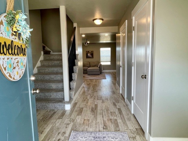 3391 S. Isabel Way
